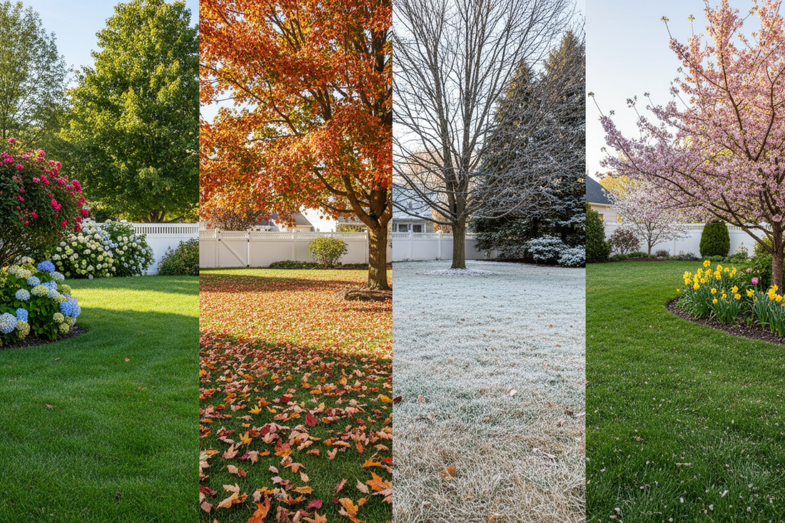Lawn Care Schedule for US Homeowners: Month-by-Month Guide (2026)