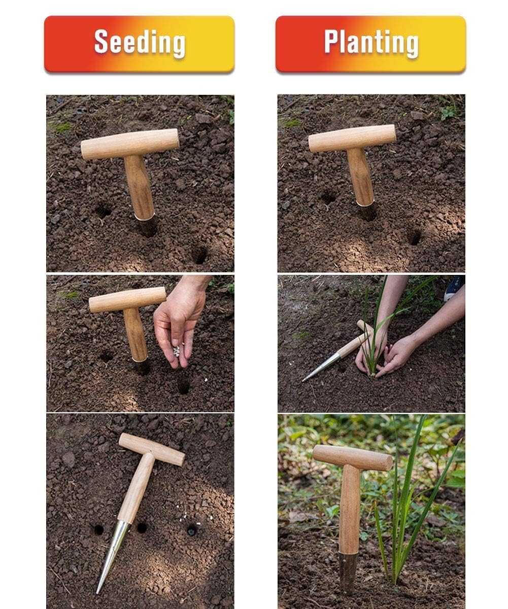 GARDTECH Garden Hand Tool Set – 3 Pieces Including Trowel, Transplant & Cultivator with Durable Ash Wood Handles & Stainless Steel, Perfect Gift for Gardeners