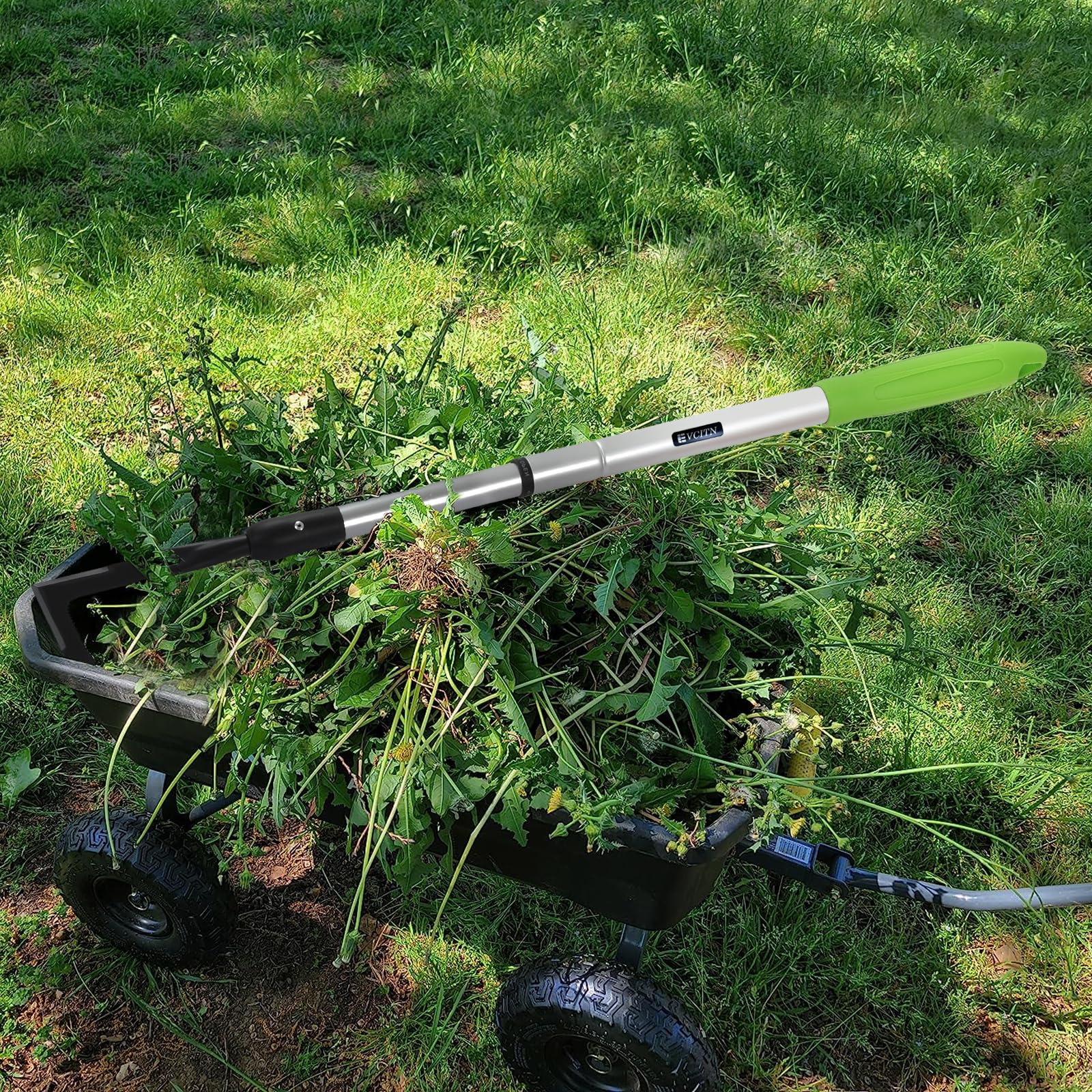 Evcitn Adjustable Crack Weeder with Long Handle – Serrated L-Shaped Blade for Weeds, Roots & Moss Between Driveway and Sidewalk Cracks